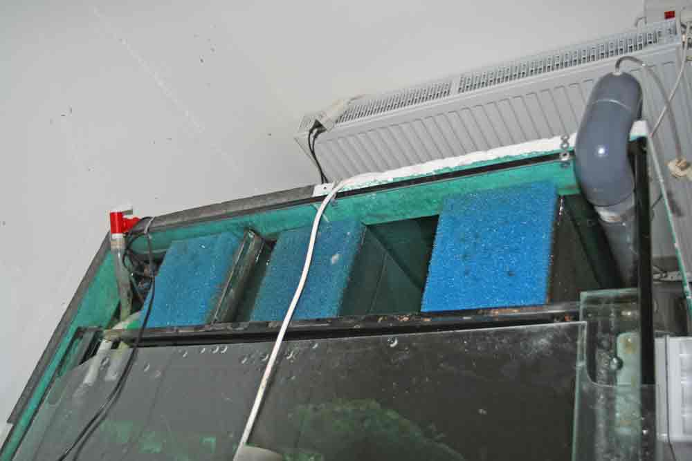 blog-image